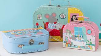Mouse in a house storage cases set of 3