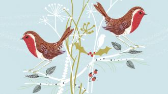 winter walk design