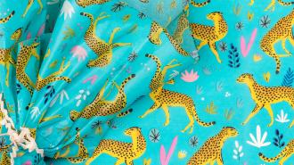 Cheetah Tissue Paper