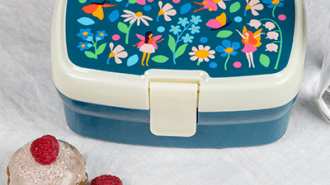Fairies in the garden lunch box with tray