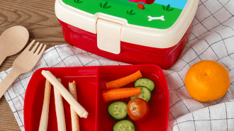 Sausage dog lunch box with tray