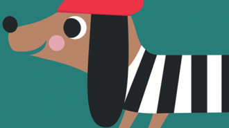 Sausage Dog design