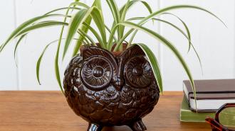 Owl planter