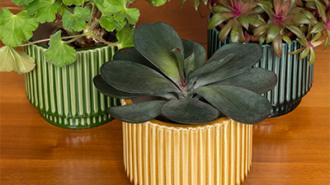 Homeware