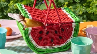 Little fruit picnic basket - Watermelon