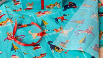 festive friends tissue paper feature illustrations of dogs in winter clothing 