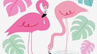 Flamingo Bay Design