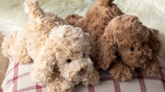 Two plush dog toy lying down with floppy ears and soft fur