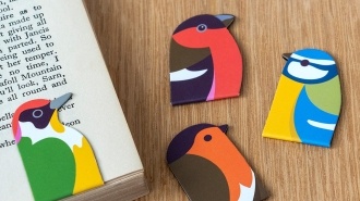 Garden bird magnetic bookmarks