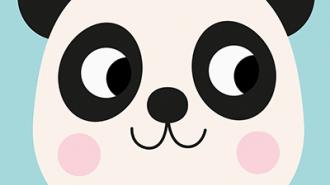 Miko The Panda