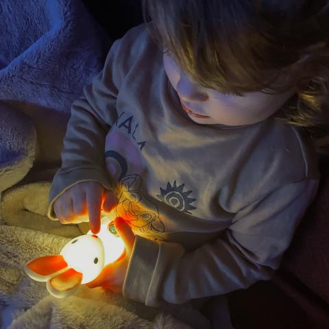 A child holding a rabbit night light