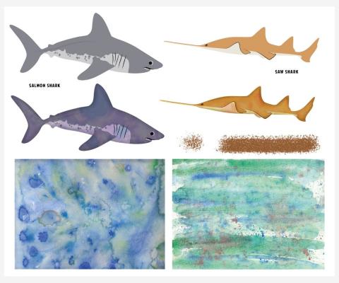 Image of clean sharks drawing with a watercolour background underneath