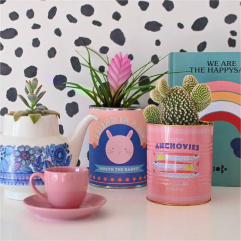 Cacti in pink tins against black and white spotty wallpaper