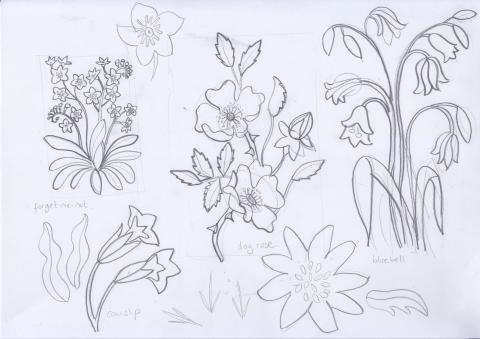 An early sketch of the Wild Flowers print