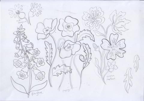 An early sketch of the Wild Flowers print