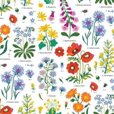 Wild Flowers print