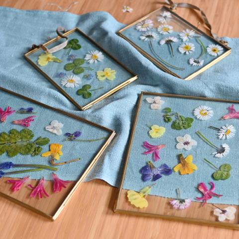 Brass frames with pressed flowers, laid on a table with a blue cloth