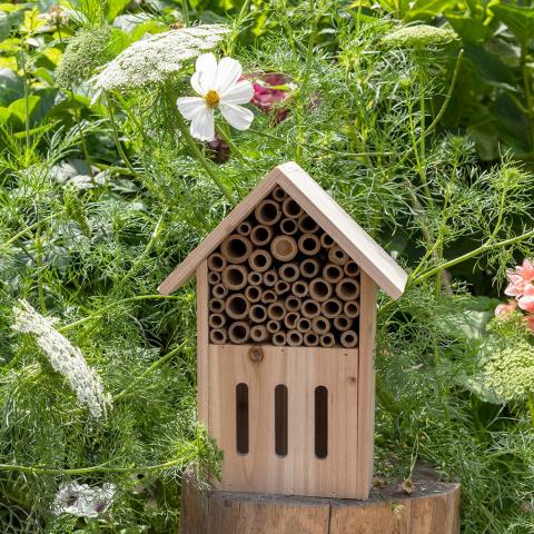 Your Garden butterfly and bee hotel