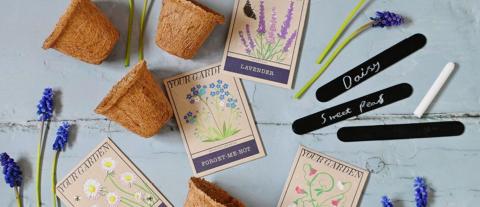 Seed packets and pots on a blue table, with some plants and leaves