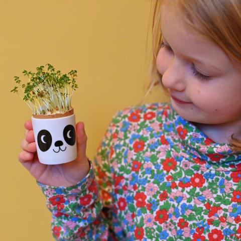 A child holds a panda egg cup with cress growing from an open egg shell