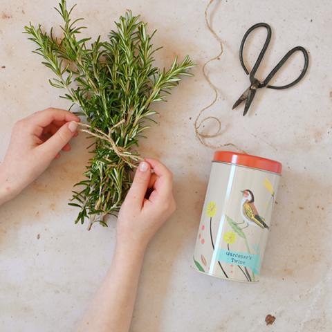 A bunch of herbs being secured by twine