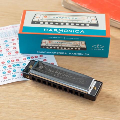 Diatonic harmonica on a table