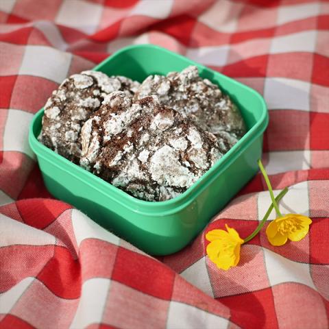 Crinkle cookies in a green lunch box on a red check picnic blanket