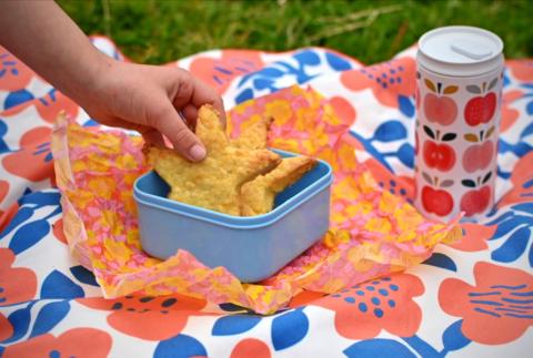 A blue lunchbox with a star-shaped cheese biscuit inside, on a red and blue picnic blanket