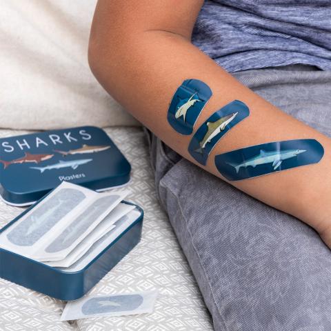 Sharks plasters on child's arm