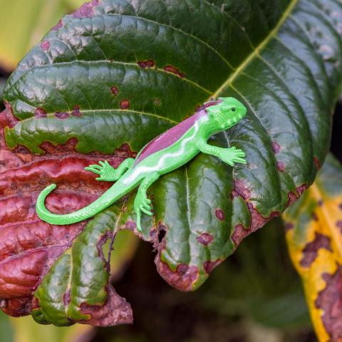 Stretchy gecko toy on a leaf