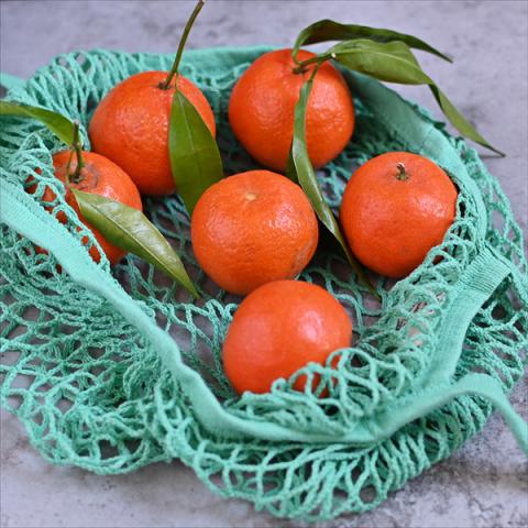 Oranges in a mint green net bag