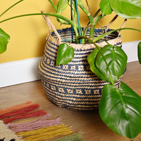 A large potted plant in a navy belly basket, against a yellow wall