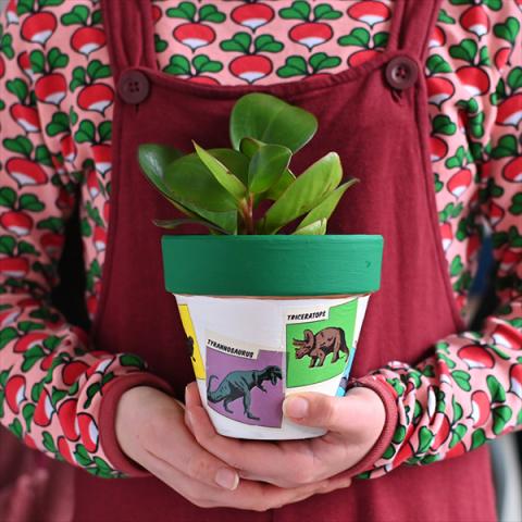 A plant pot decorate with dinosaur decoupage, held by a young girl
