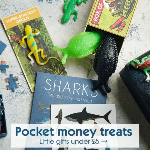 Pocket money toys