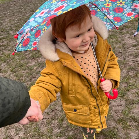 A young child wearing a yellow coat holds a Ladybird print umbrella