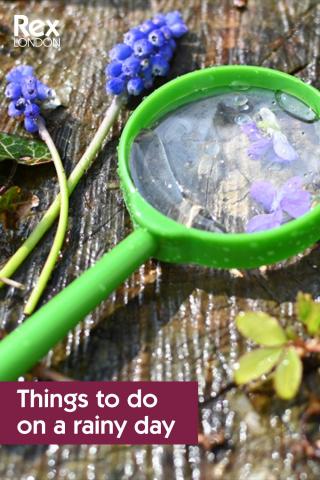 A magnifying glass rests on a log in the rain, next to some flowers