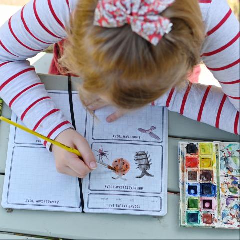 A girl paints a ladybird in a nature journal