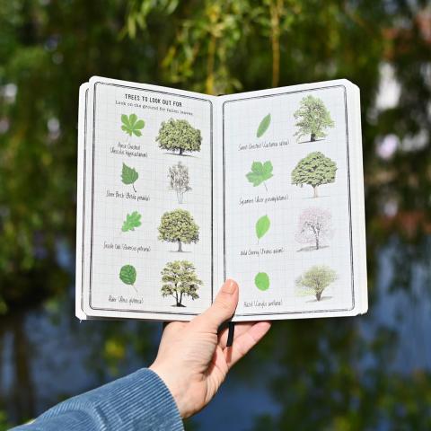 An outstretched arm holds open a nature journal with pictures of trees