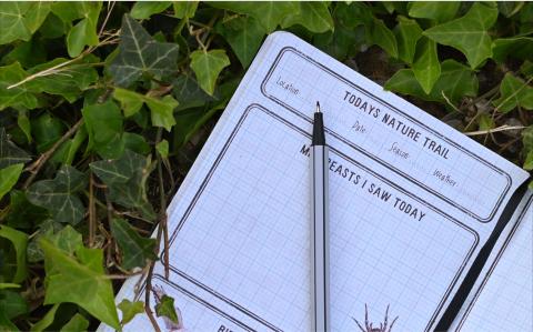 A nature journal rest on some leaves, with a pen on an open page