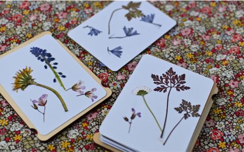 A travel flower press with dried flowers