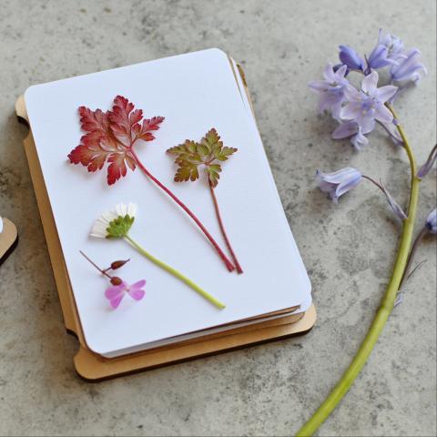 A travel flower press with dried flowers