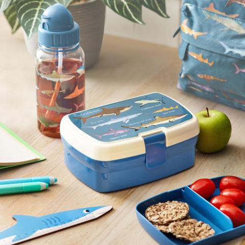 A shark-design lunch box and water bottle sit on a desk, next to a shark-shaped wooden ruler