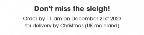 Christmas delivery 2023