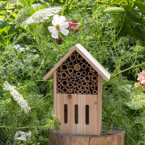 wooden butterfly hotel in garden