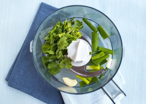 garlic-coriander-spring-onions