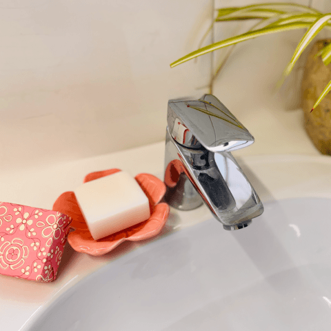Soap dish with soap and tap