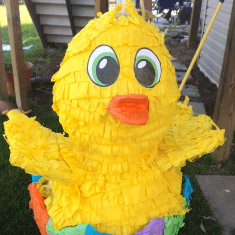 Chick pinata