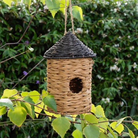 Birdhouse hanging off tree in garden