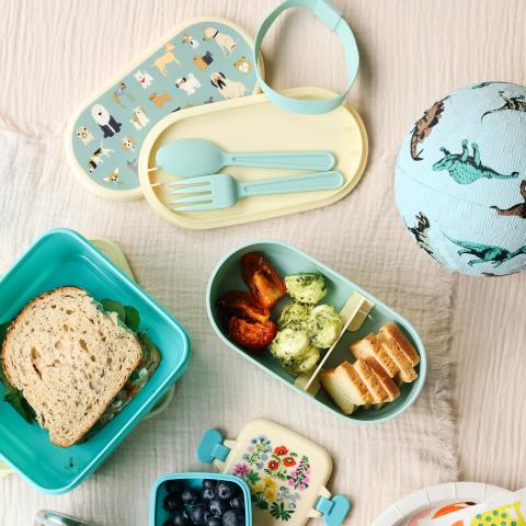 Lunch box with food, ball and snack box