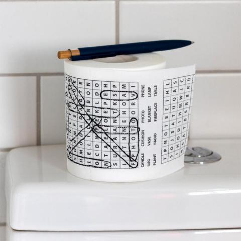 Loo roll with word search imprinted onto it. Resting on top of toilet seat